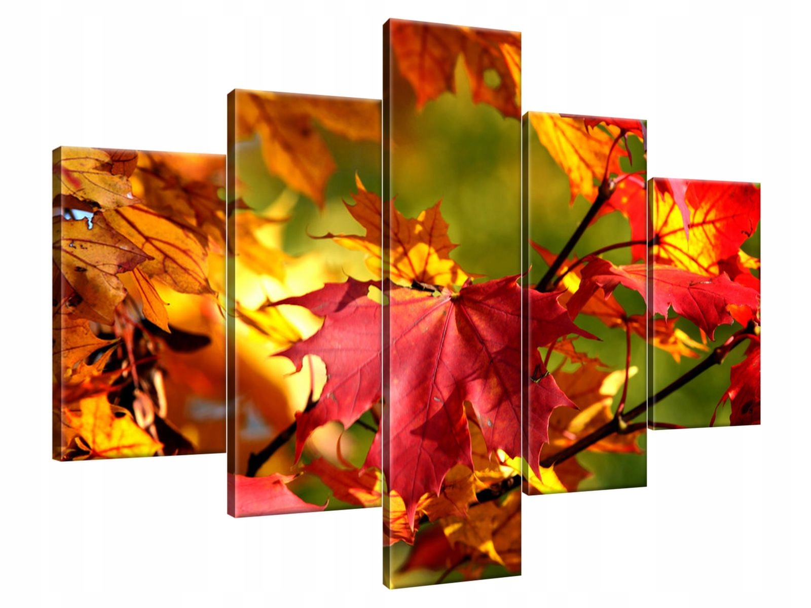 

Obraz Drukowany 100x70 Złota polska jesień dorobe