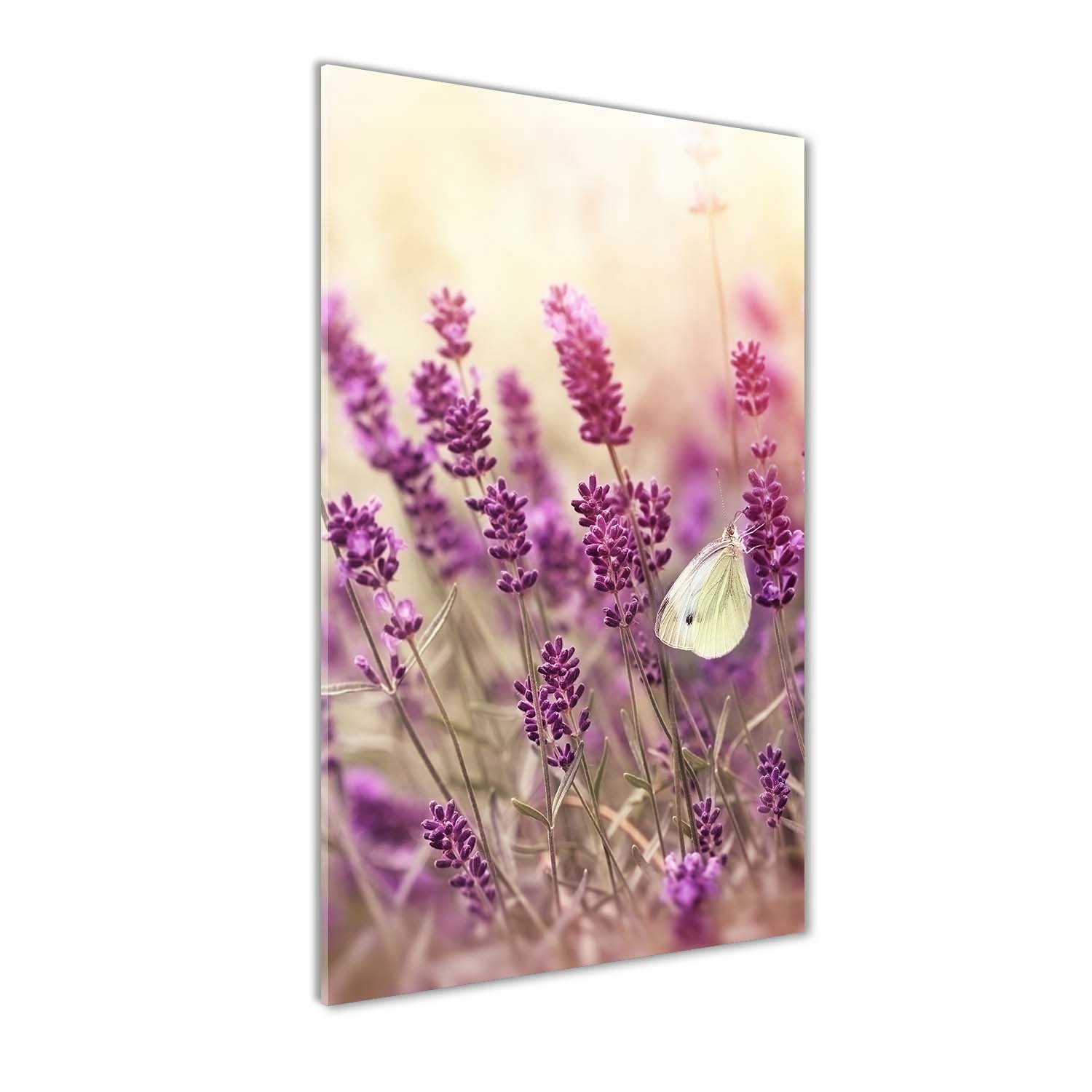 

Foto obraz akryl do salonu Kwiaty lawendy 60x120cm