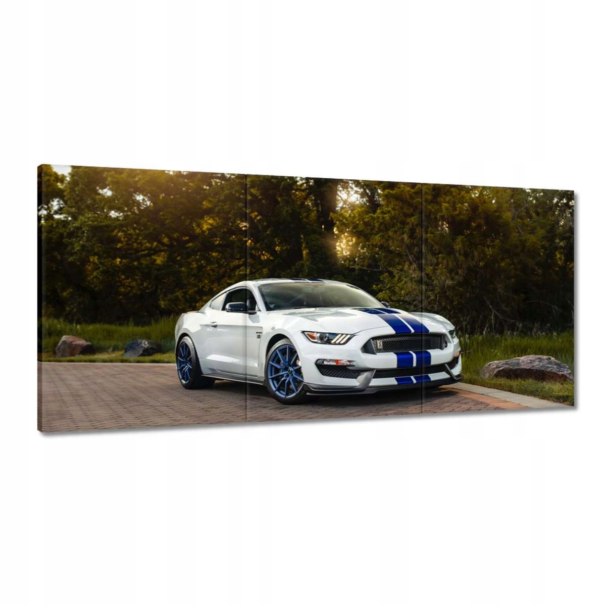 Obrazy 210x100 Športový Ford Mustang
