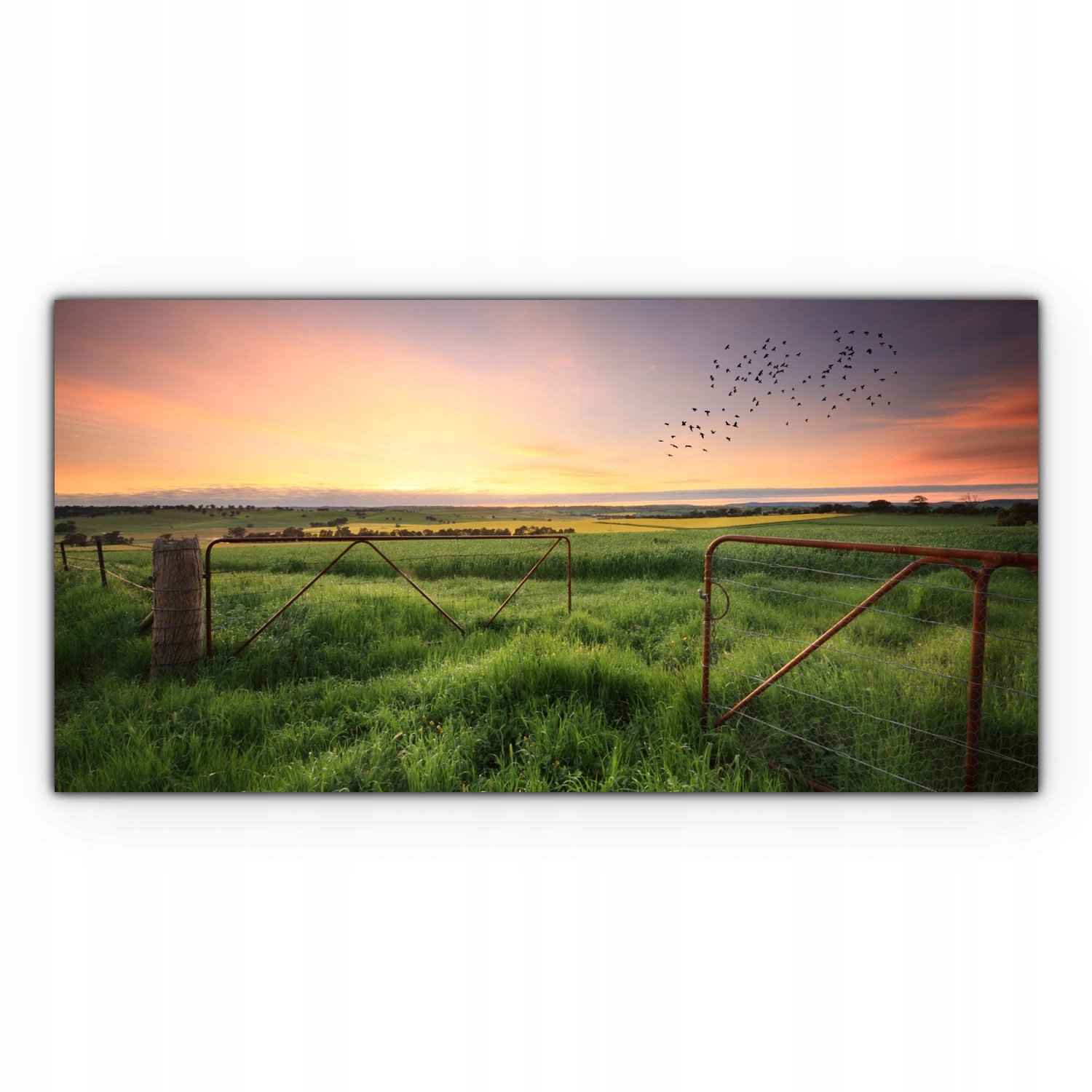 

Canvas na ramie na ścianę 100x50 Rdza Brama Pole
