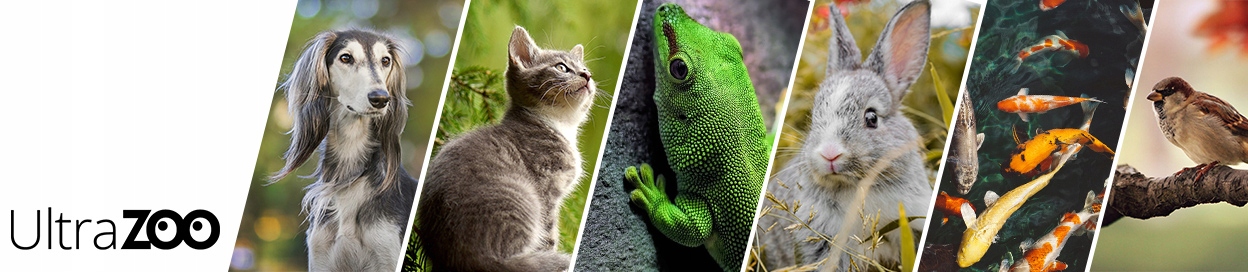 TROPICAL 4kg 50l karma dla ryb w oczku wodnym pływające kolorowe pałeczki Waga 4 kg