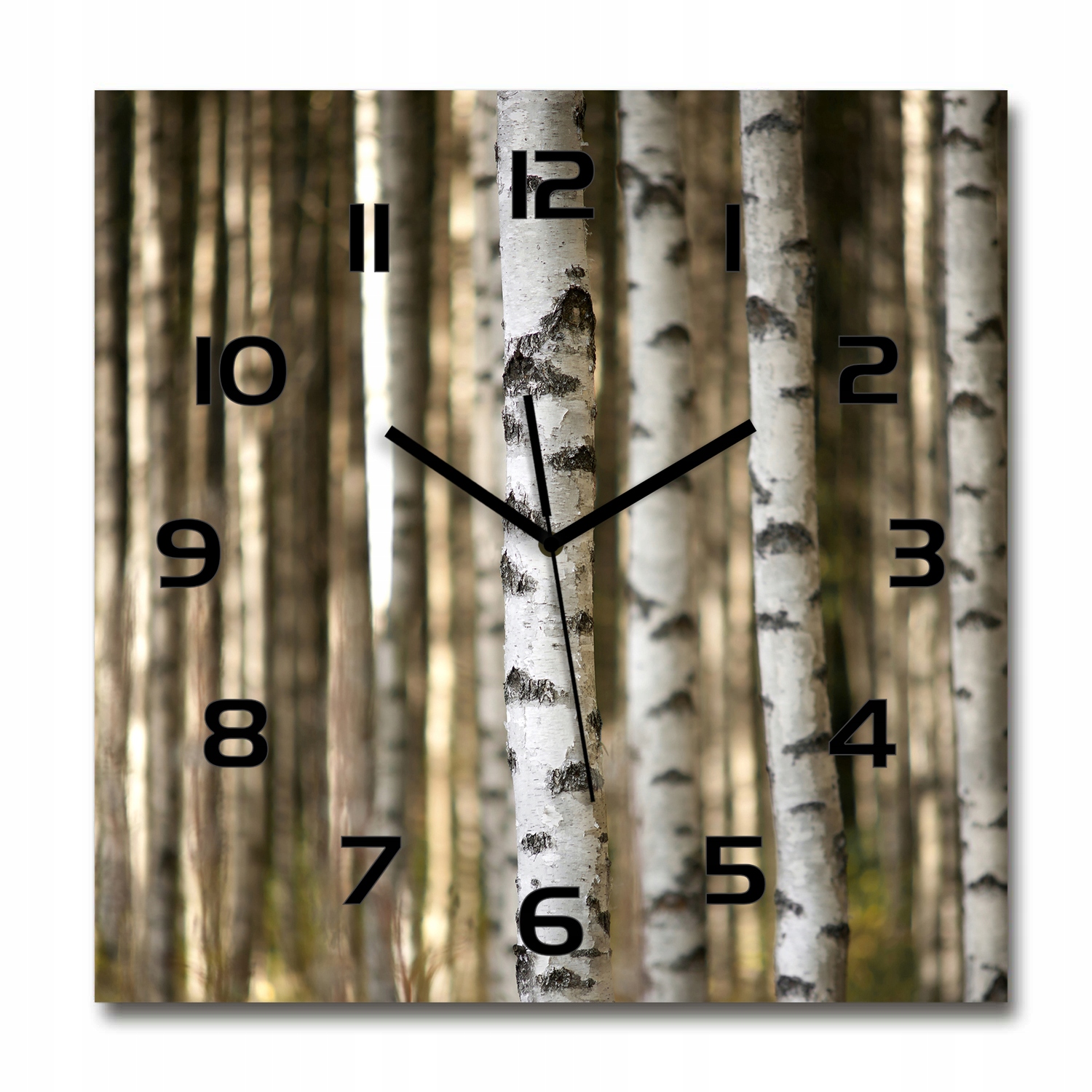 

Duży kwadratowy szklany zegar ścienny Brzozy 60x60