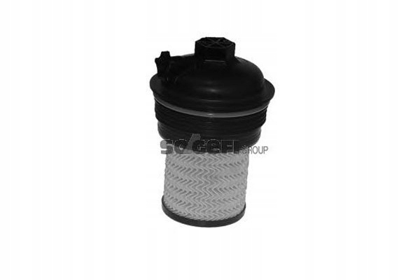 Purflux Palivový Filtr Pro Renault Espace V 1,6DCI 130 1