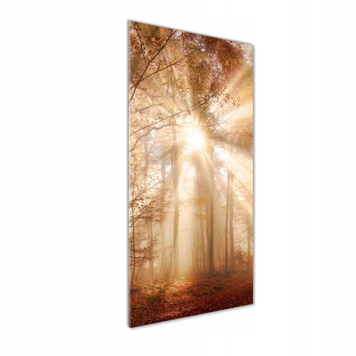 

Nowoczesny fotoobraz akrylowy Las jesienią 50x125