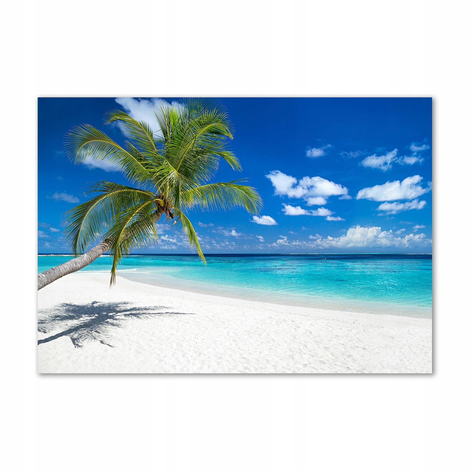 

Foto obraz szklany Tropikalna plaża 100x70