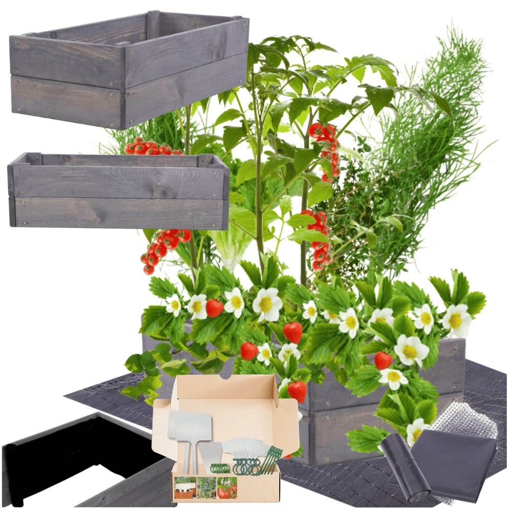 Zeleninová Zahrada truhla pařeniště impregnace květináč vyvýšený záhon 18x60x30