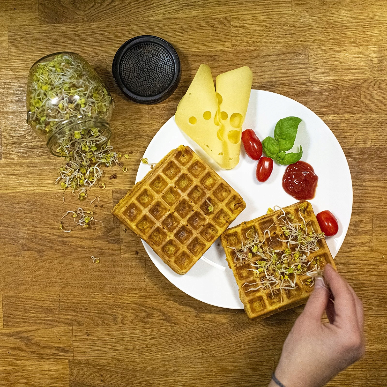 KIEŁKOWNICA SŁOIKOWA TWIST-off BROWIN + NASIONA Materiał dominujący szkło