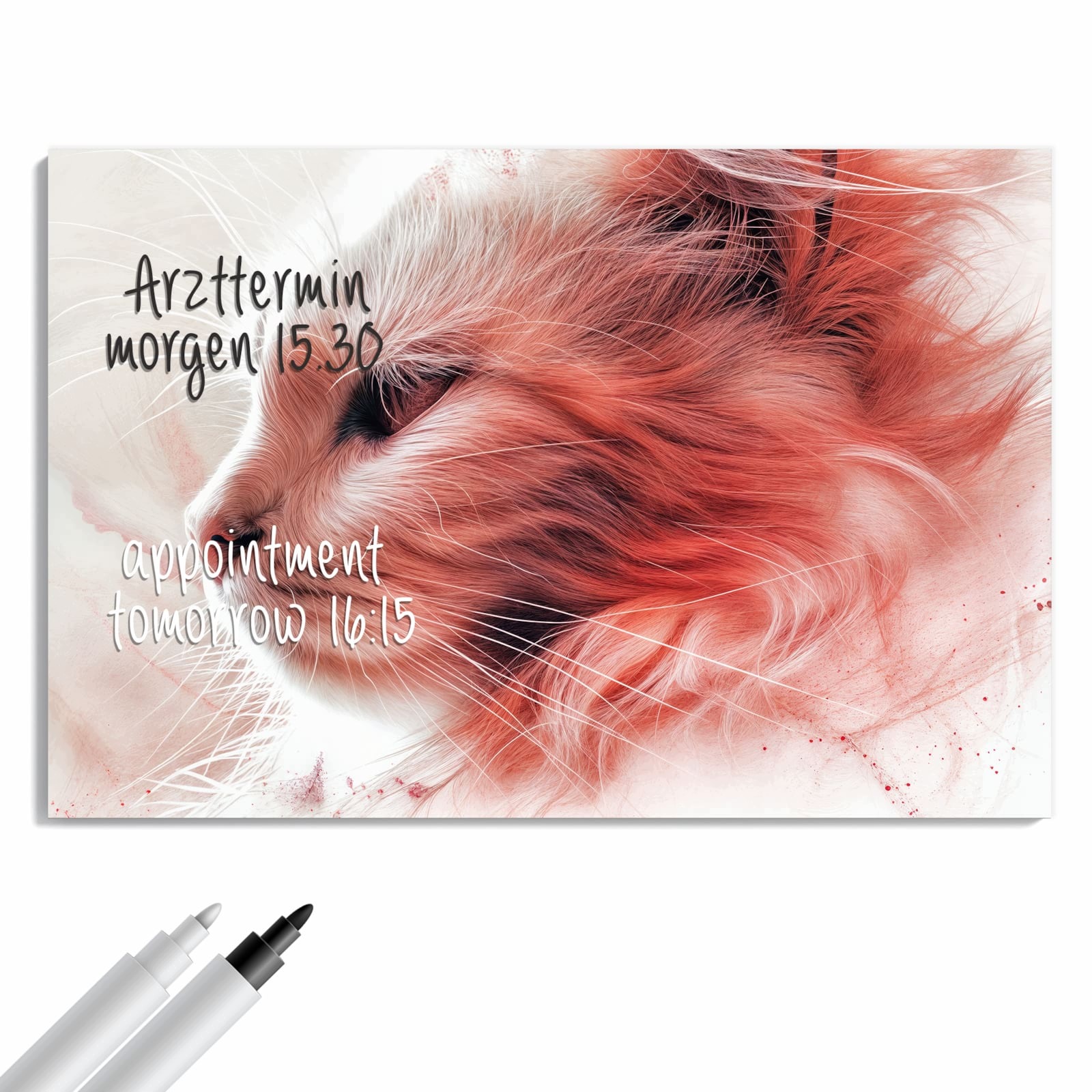 Magnetická tabule Kočka Profil Růží 60 × 40 cm