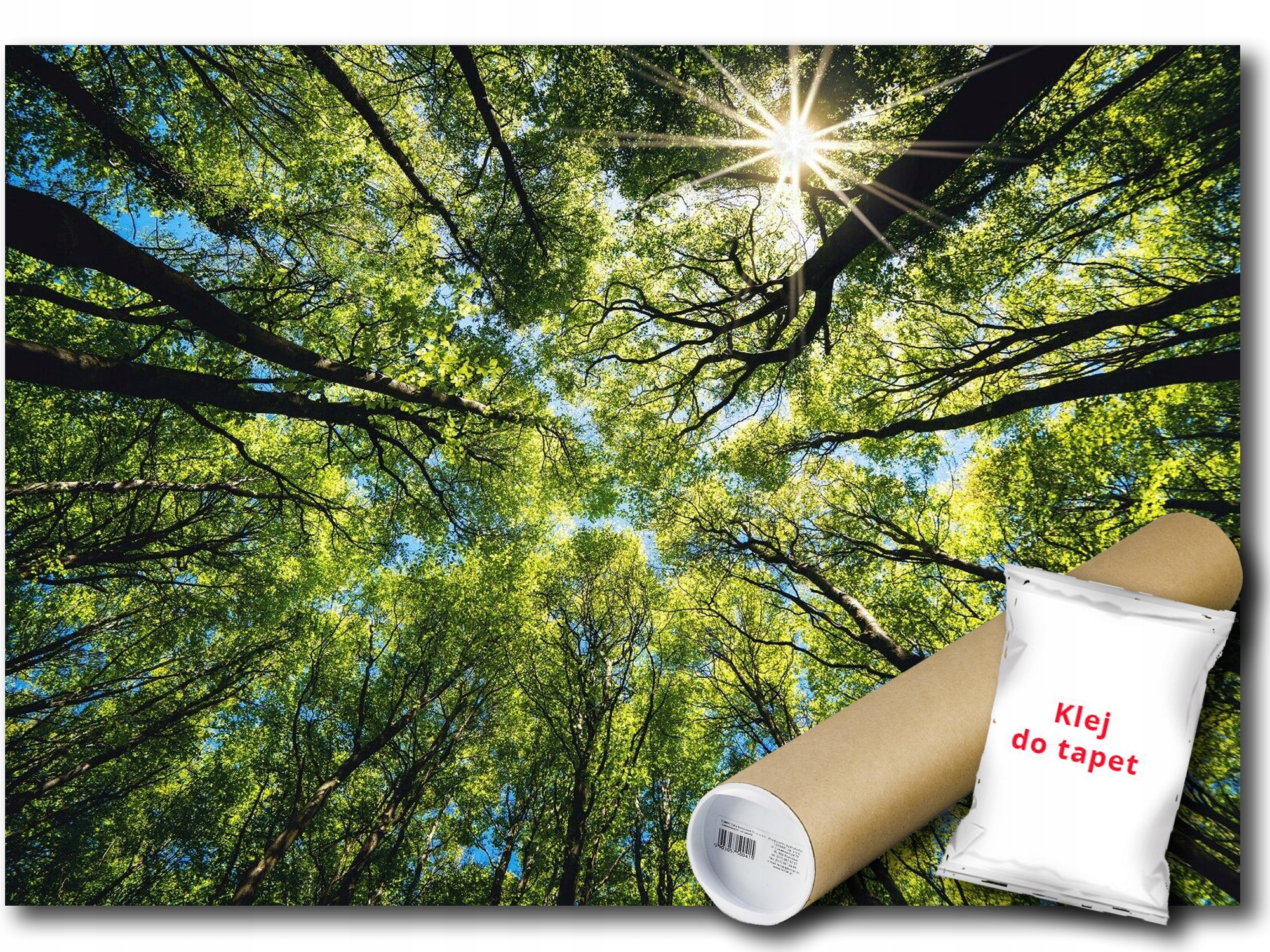 Fototapeta Flizelina Příroda Strom Slunce Koruna 300x210 lepidlo bonus