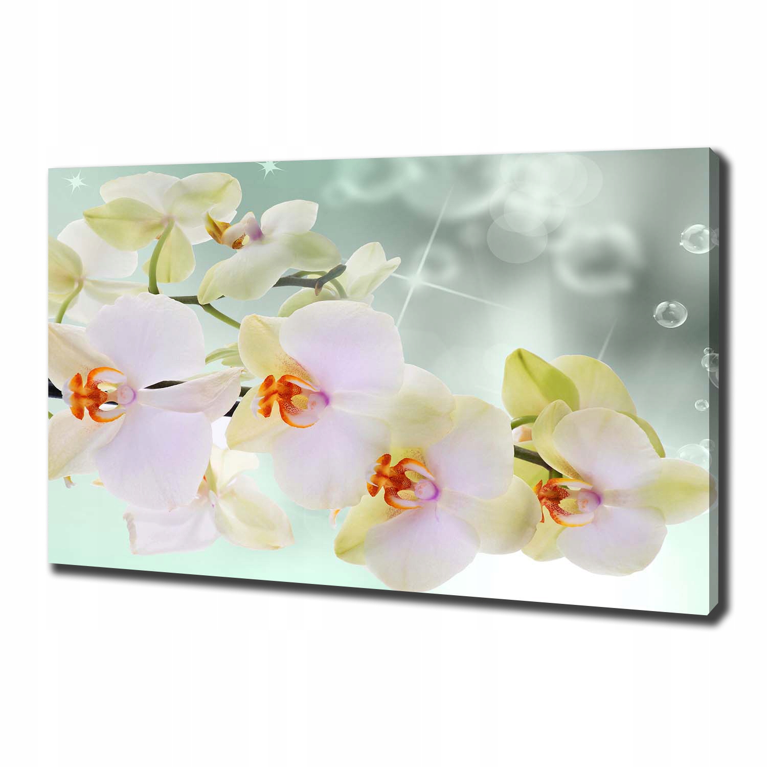 

Foto obraz na płótnie Biała orchidea 100x70 cm