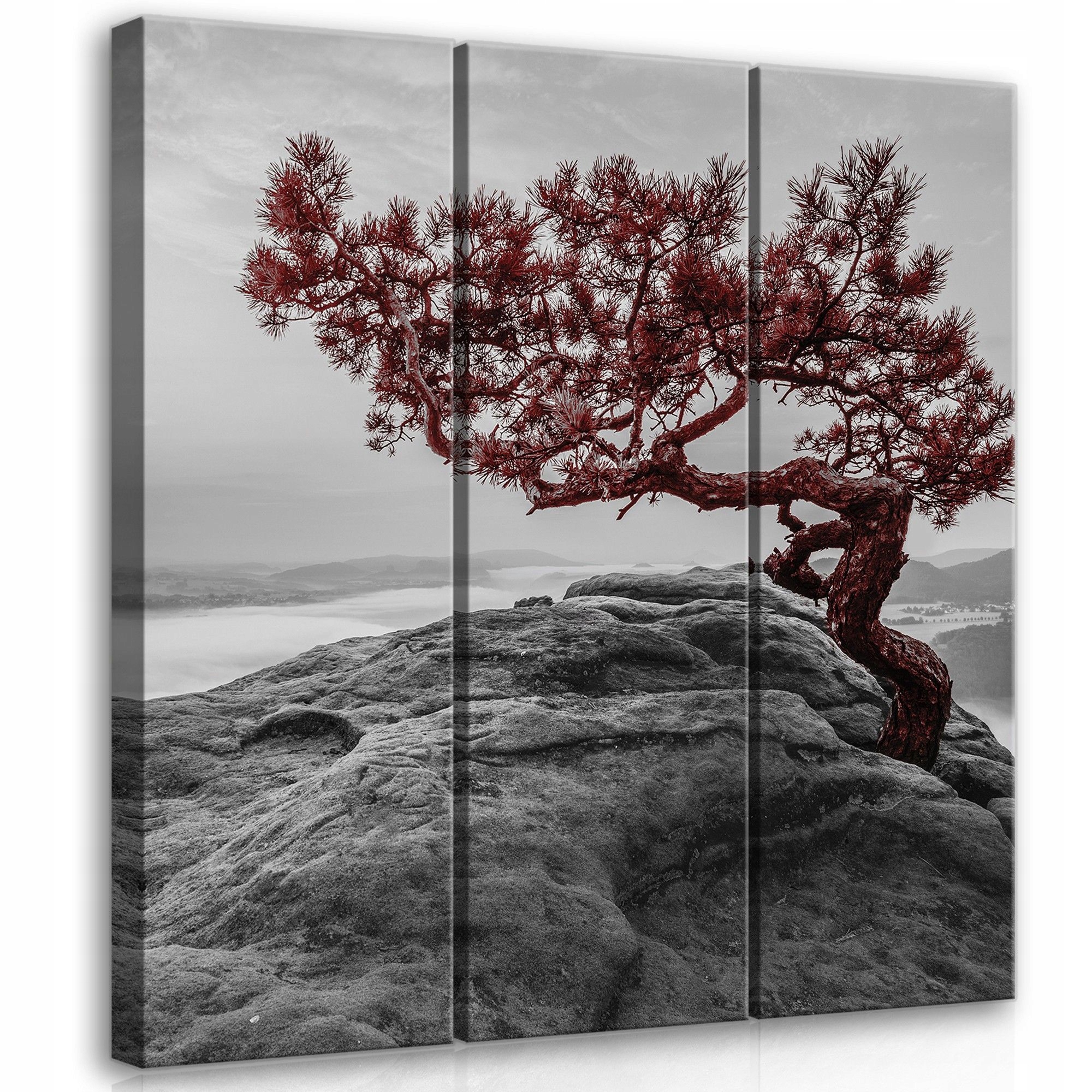 Obraz 90x100 Skála strom osamělost vytrvalost červená příroda umění