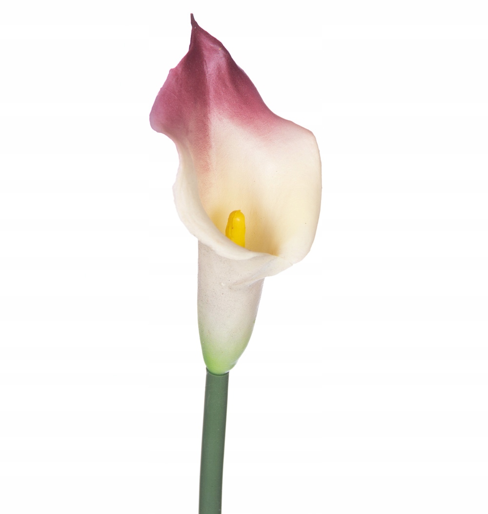 

Kalia gumowa 62cm gałązka kremowofioletowa silikon