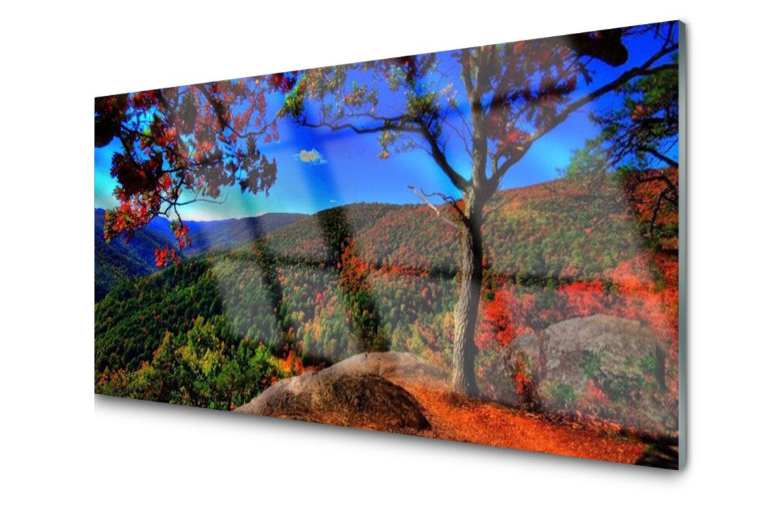 

Panel szklany dekoracyjny Dekor Góra Las 100x50