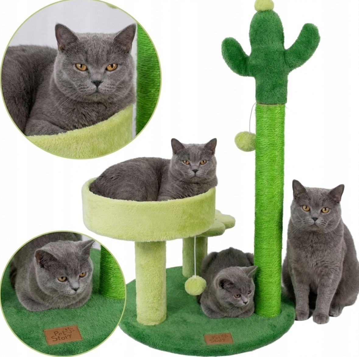 Wielofunkcyjny Drapak dla Kota Kaktus 3 Poziomy Słupek Sizal Drzewko Oaza