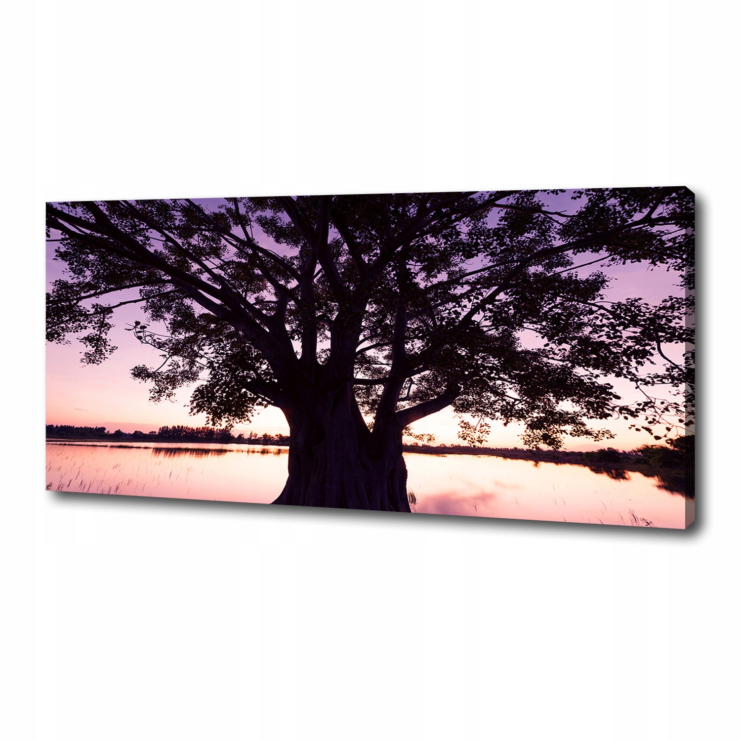 

Foto obraz na płótnie Drzewo i jezioro 125x50 cm