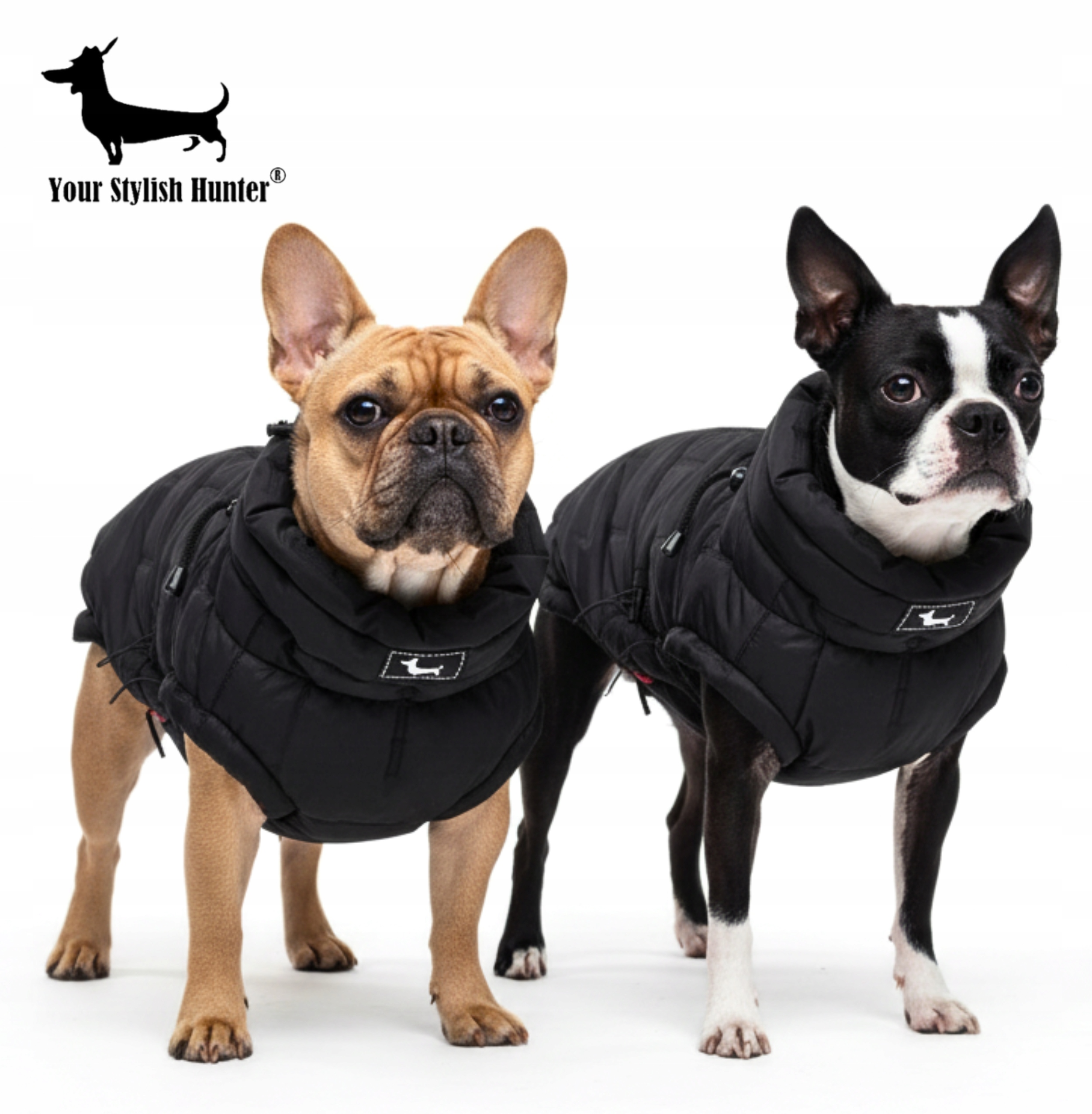 Levně Teplá lehká zateplená bunda pro francouzské buldočky a mopslíky, velikost M