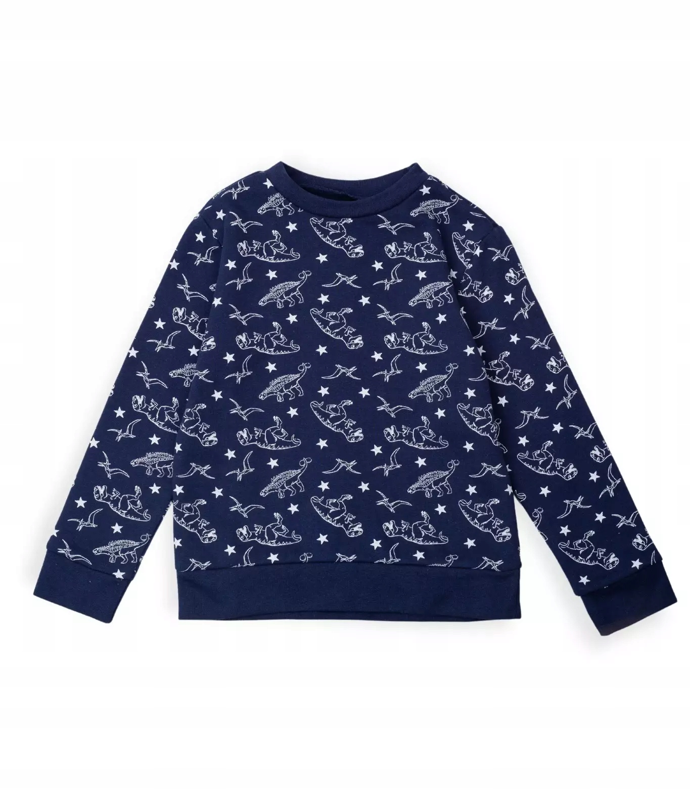 

Dresowa bluza w dinozaury Chłopiec 128 Sinsay