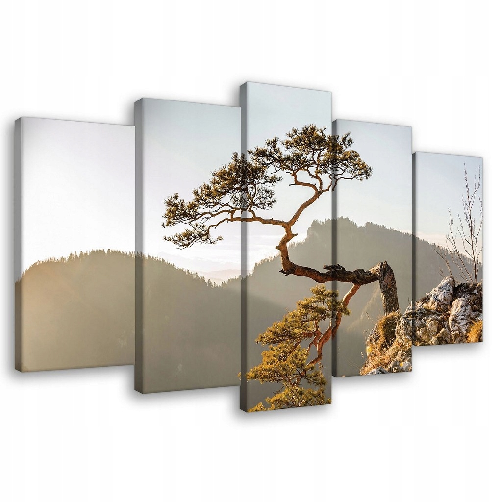 Obraz 100x60 Odolnost odolnost příroda hory strom skála mlha klid