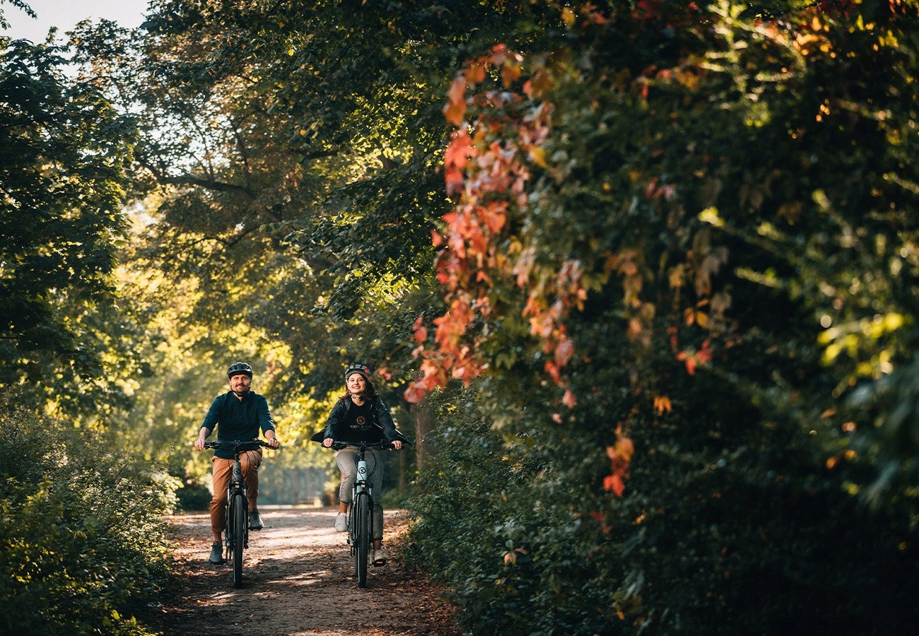 ROWER KELLYS CRISTY 10 RAMA M 19'' Model CRISTY 10