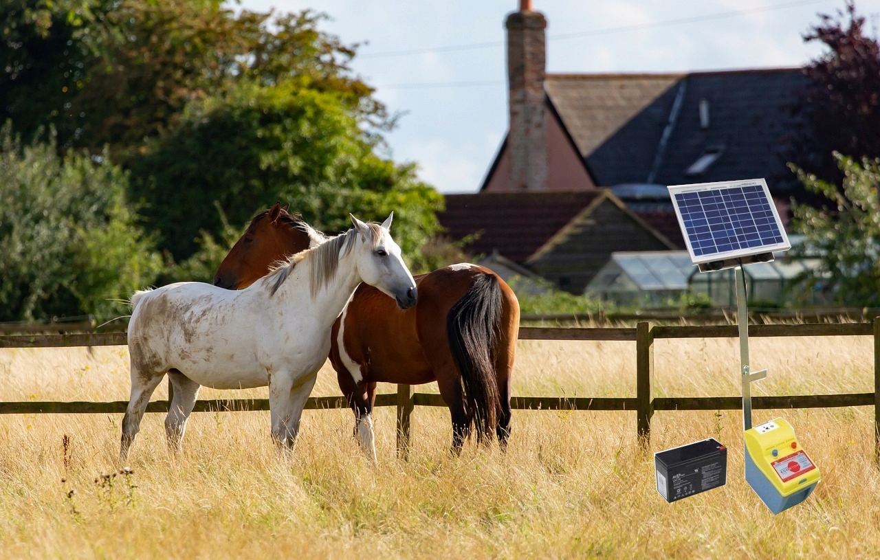 Pastuch elektryczny SOLARNY zestaw elektryzator akumulator panel stojak Stan opakowania oryginalne