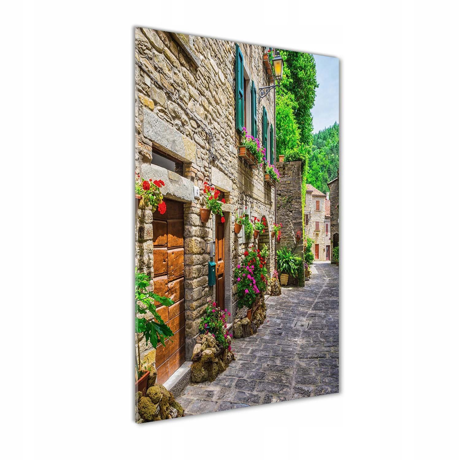

Foto obraz szkło akrylowe Urokliwa uliczka 60x120