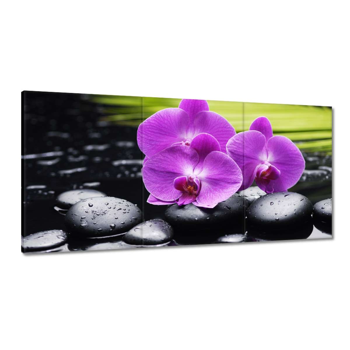 Obrazy 180x90 Orchidea na kameňoch
