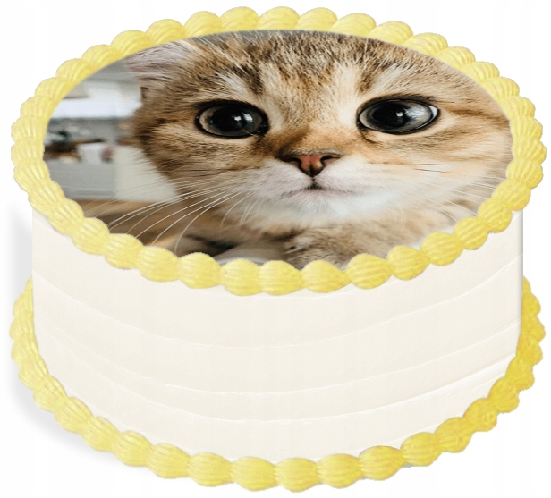 Levně oplatek na dort 20 cm Zvířata Kočka Narozeniny