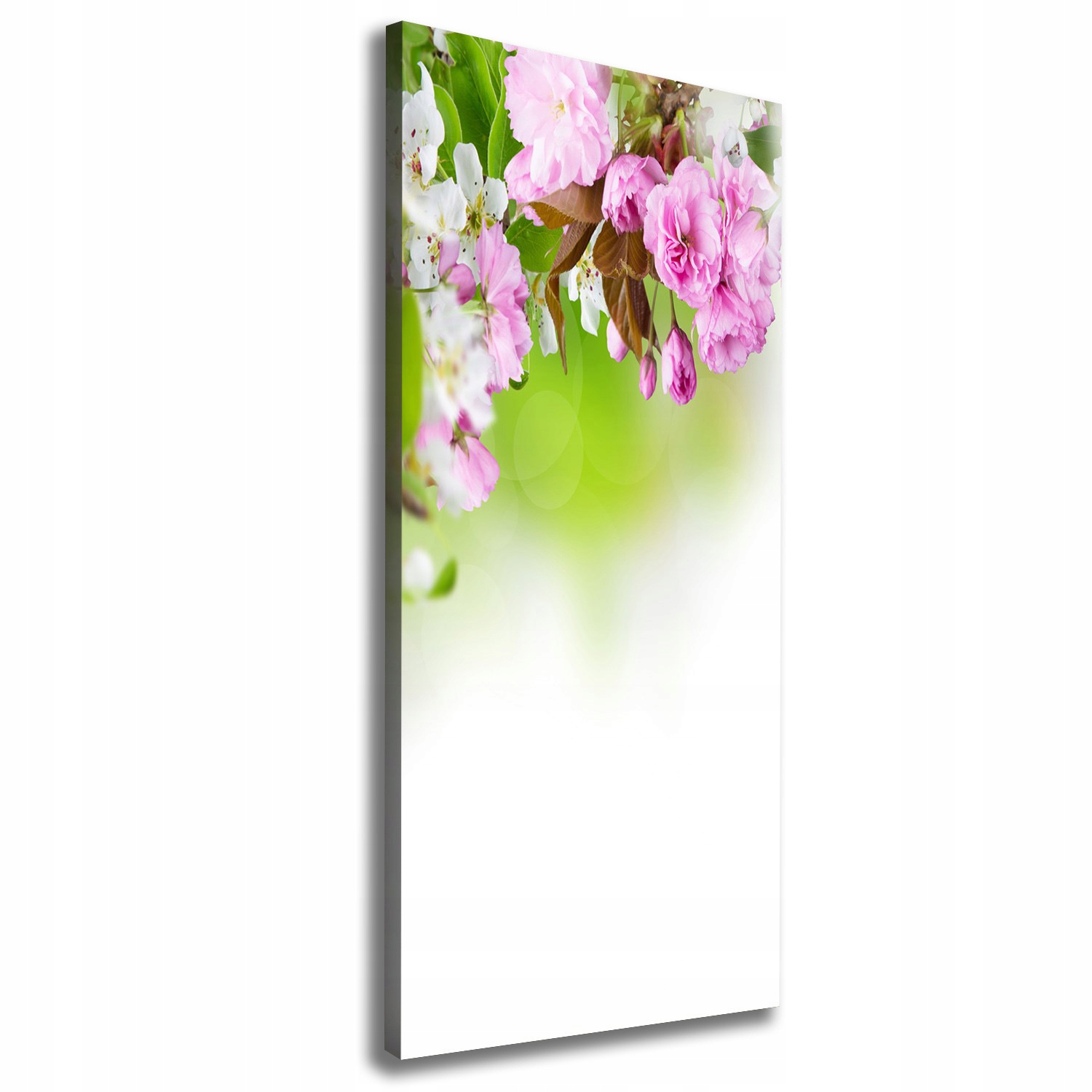 

Foto obraz na płótnie Wiosenne kwiaty 50x125 cm