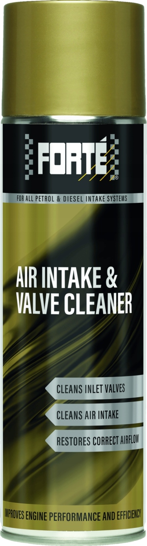 Forté Air Intake & Valve Cleaner