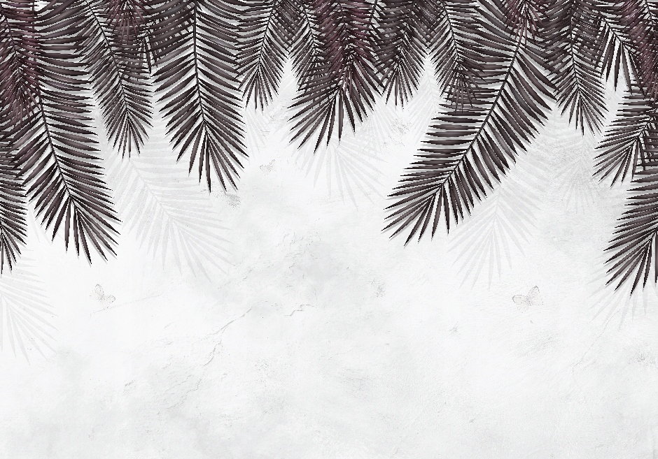 Fototapeta Čierne listy palmy 400x280 vliesová 230 g