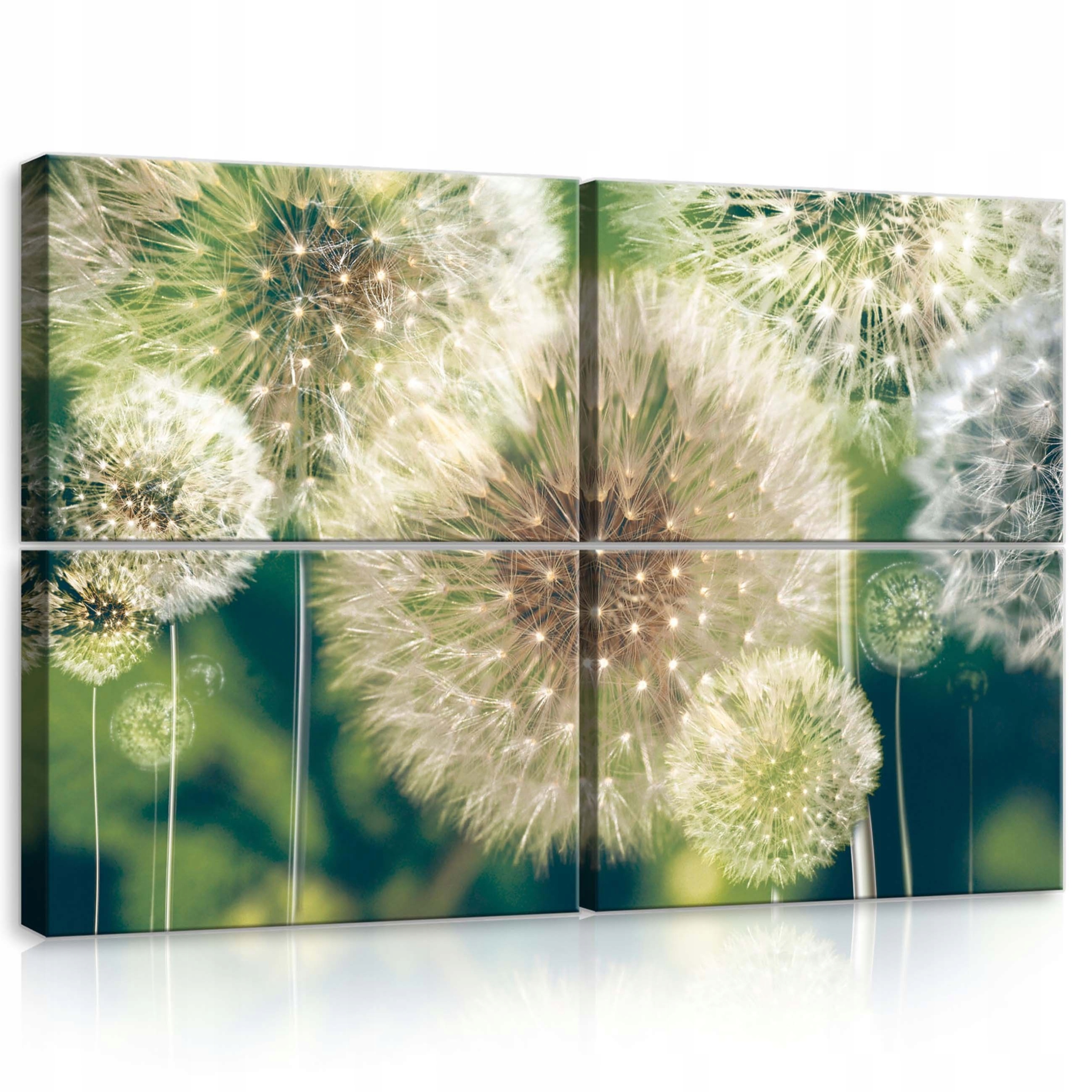 Obraz 120x80 Púpava lekárska púpava semená príroda leto ľahkosť