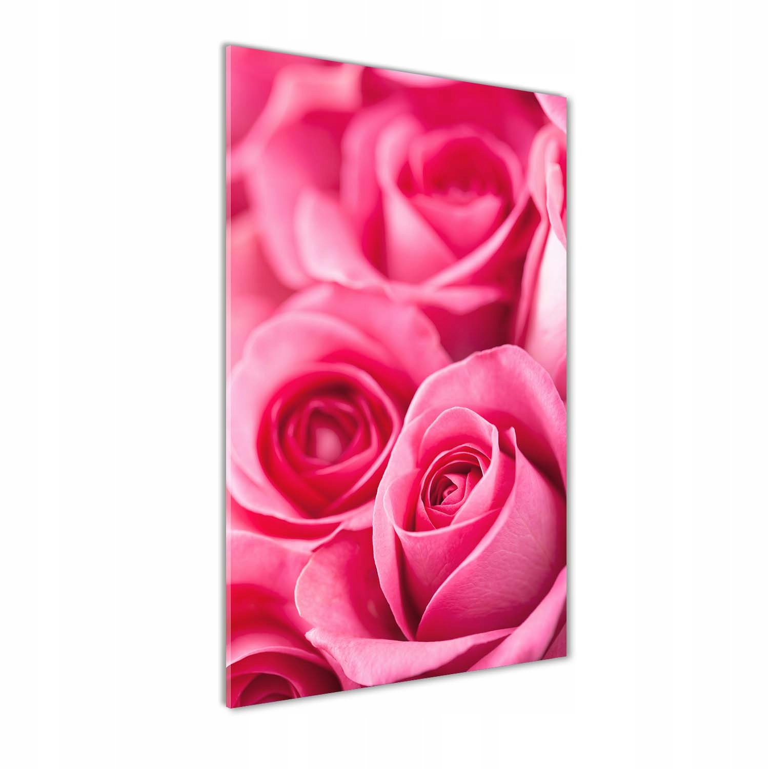 

Nowoczesny fotoobraz akrylowy Różowe róże 50x100cm