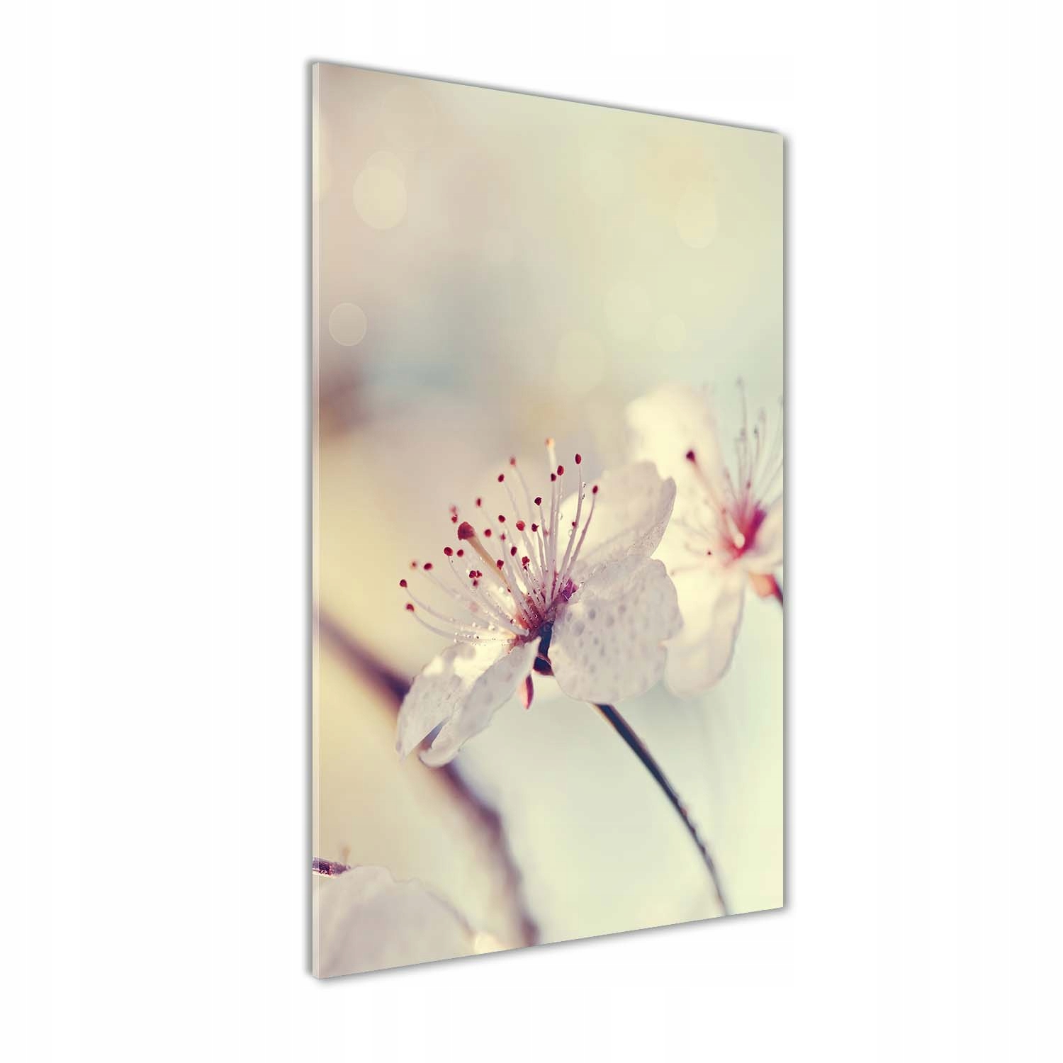 

Foto obraz szkło hartowane Kwiaty wiśni 60x120 cm