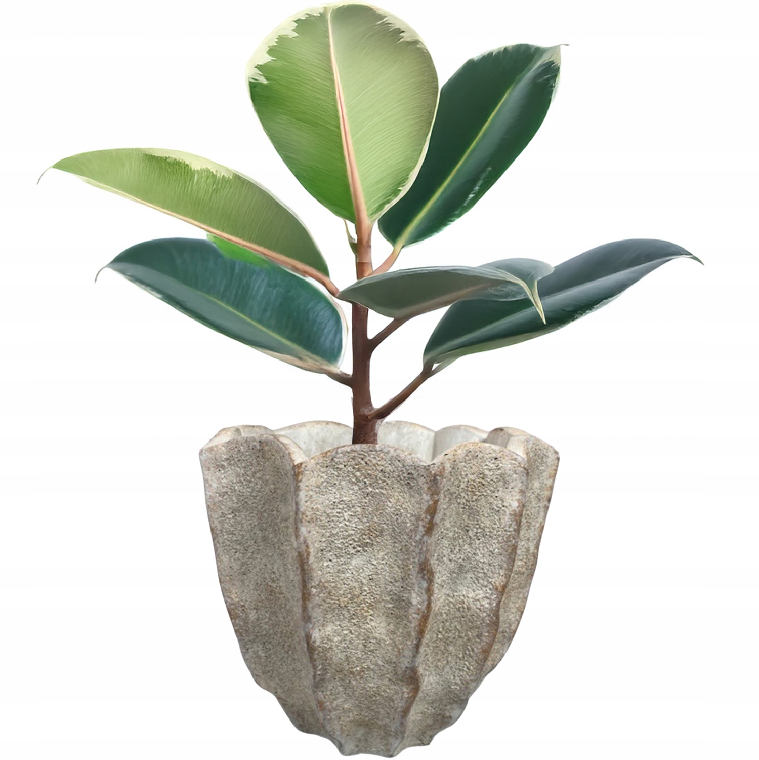 Květináč Betonový Květ 20 cm velké květy vřesy obal na květináč zamiokulkas bonsai