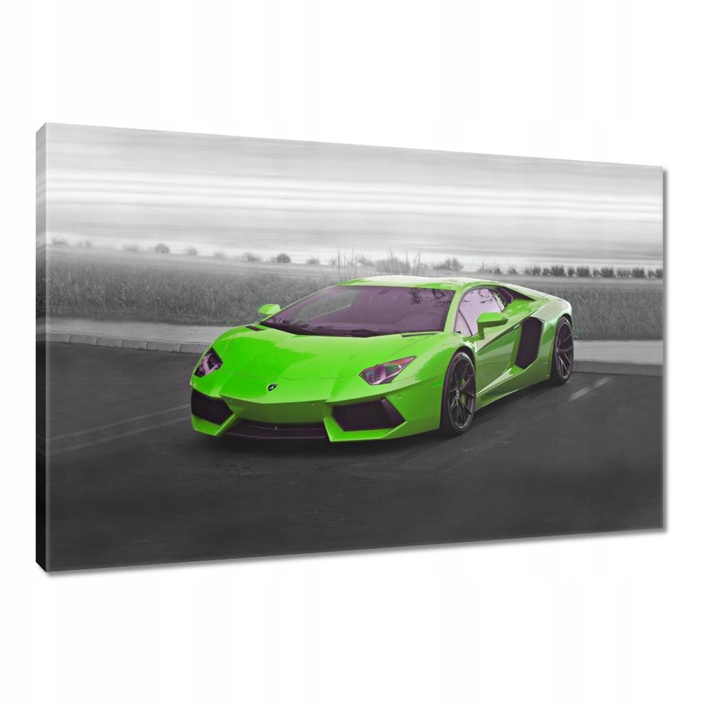 

Obrazy 90x60 Sporotwe auto