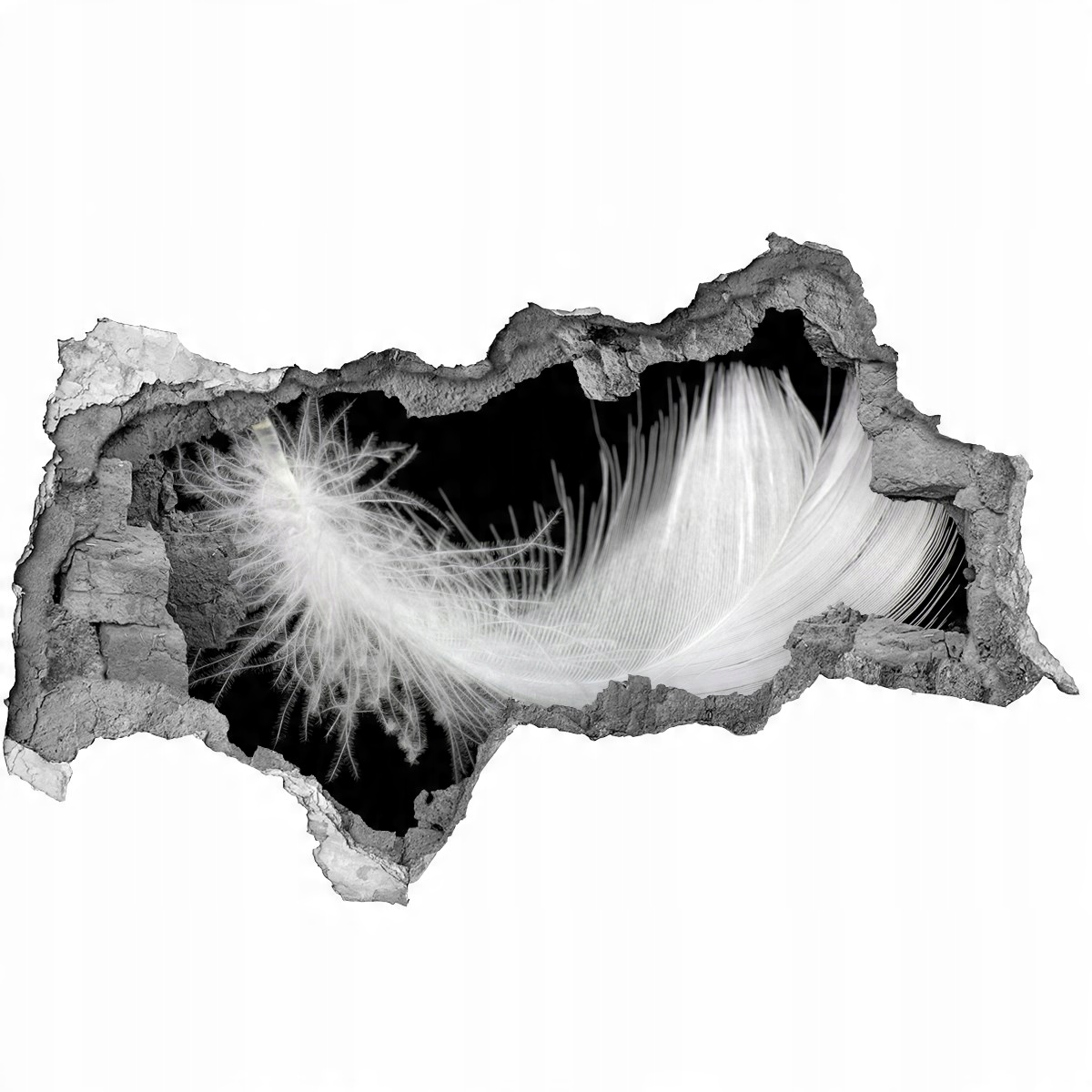 

Fototapeta dziura na ścianę naklejka Piórko 115x88