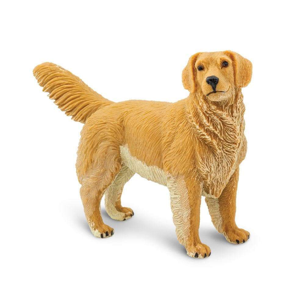 

Pies Golden Retriever Safari Ltd. 253129