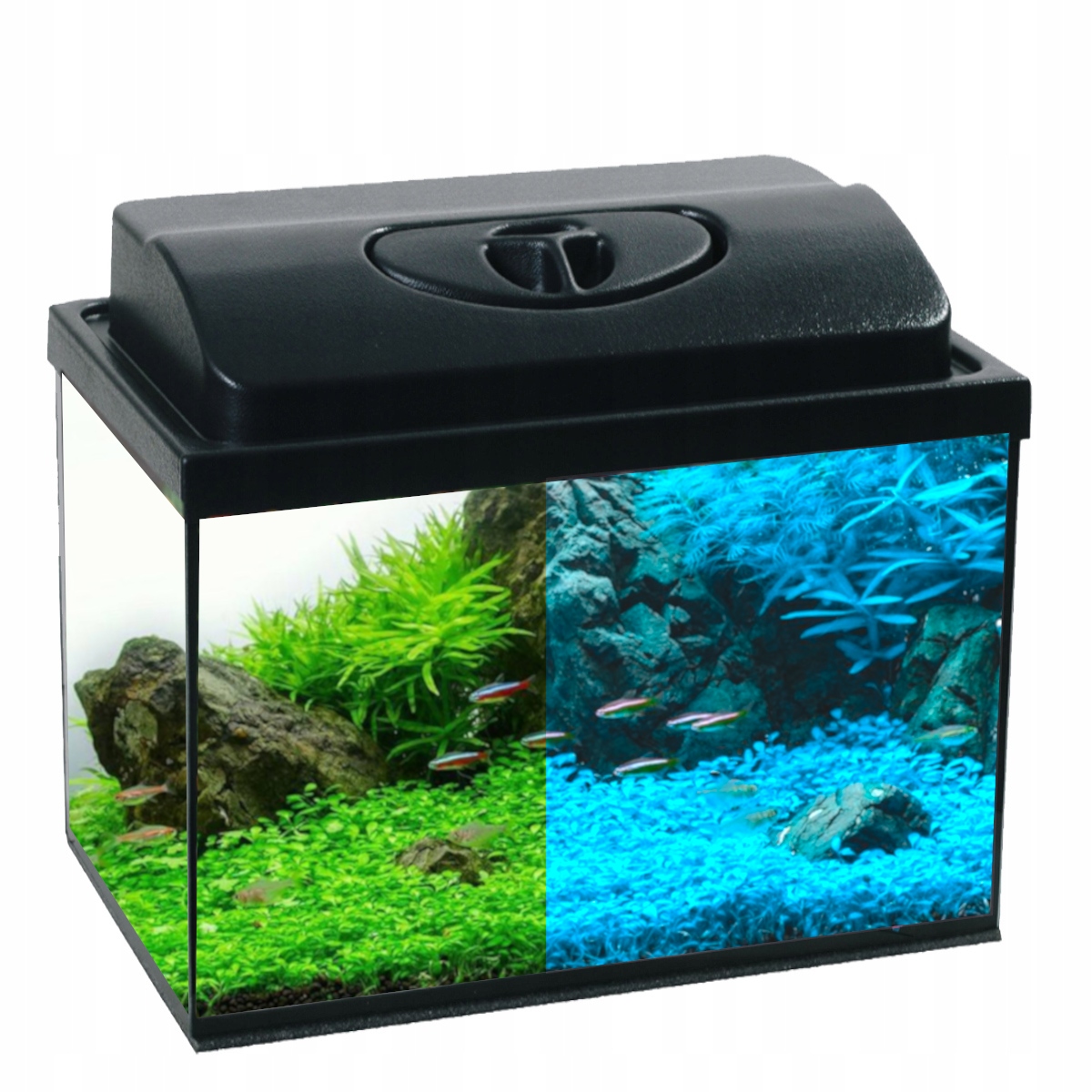Akwarium 40L 40x25x40cm Led DZIEŃ/NOC+13 gratisów Antyglon
