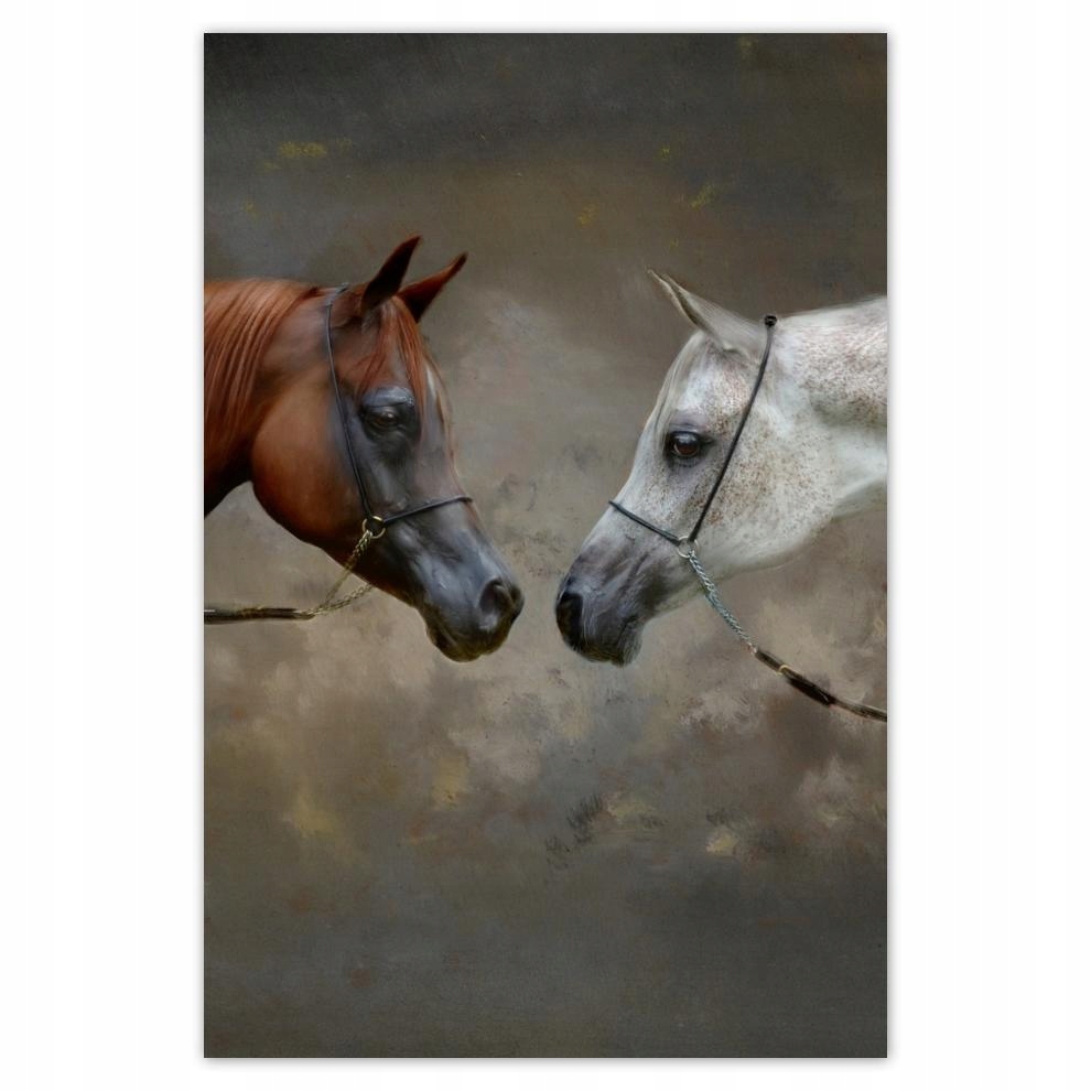 

Plakat 62x93 Koń Konie Jeździectwo