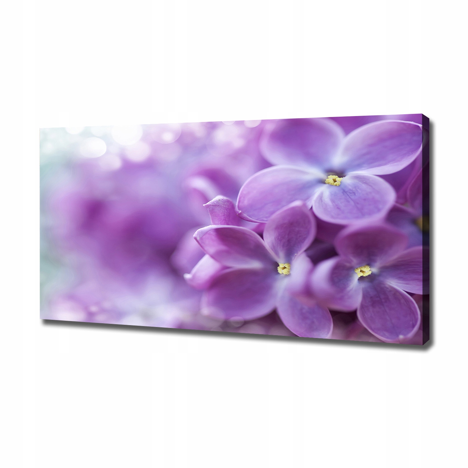 

Foto obraz canvas na ścianę Kwiaty bzu 120x60 cm