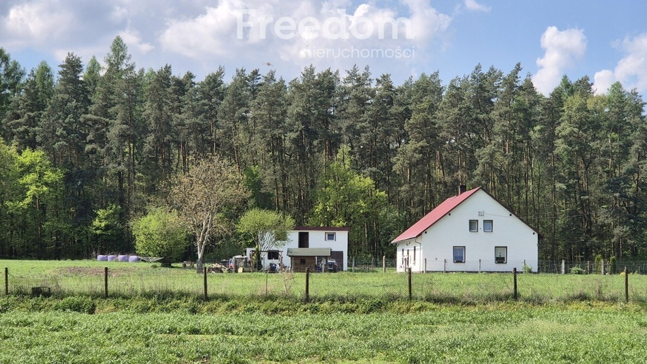 Dom, Rudziniec, Rudziniec, Gliwicki, 135 m²
