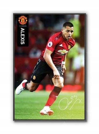 ALEXIS plakat 61x91cm Stan opakowania oryginalne