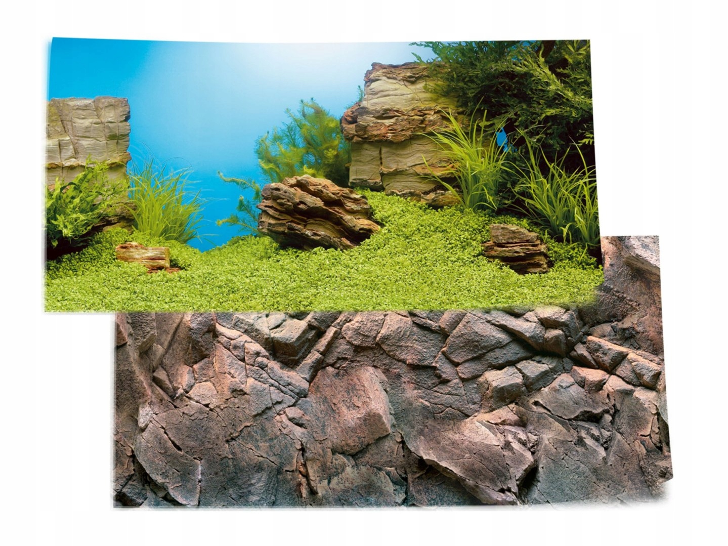 

Juwel Poster 1 L tło dwustronne 3D 100x50 cm