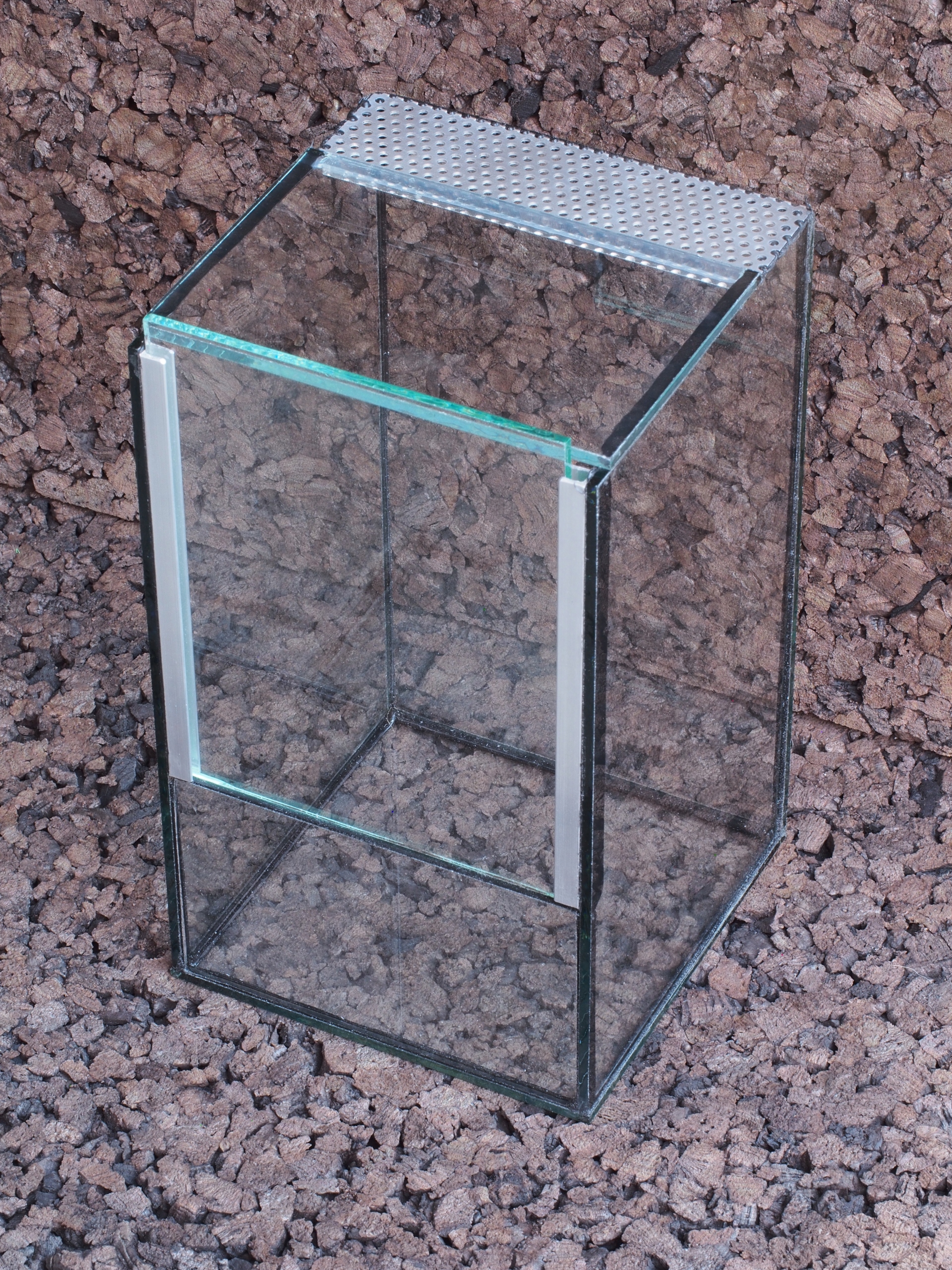 

Terrarium 15x15x25 cm pająk modliszka straszyk