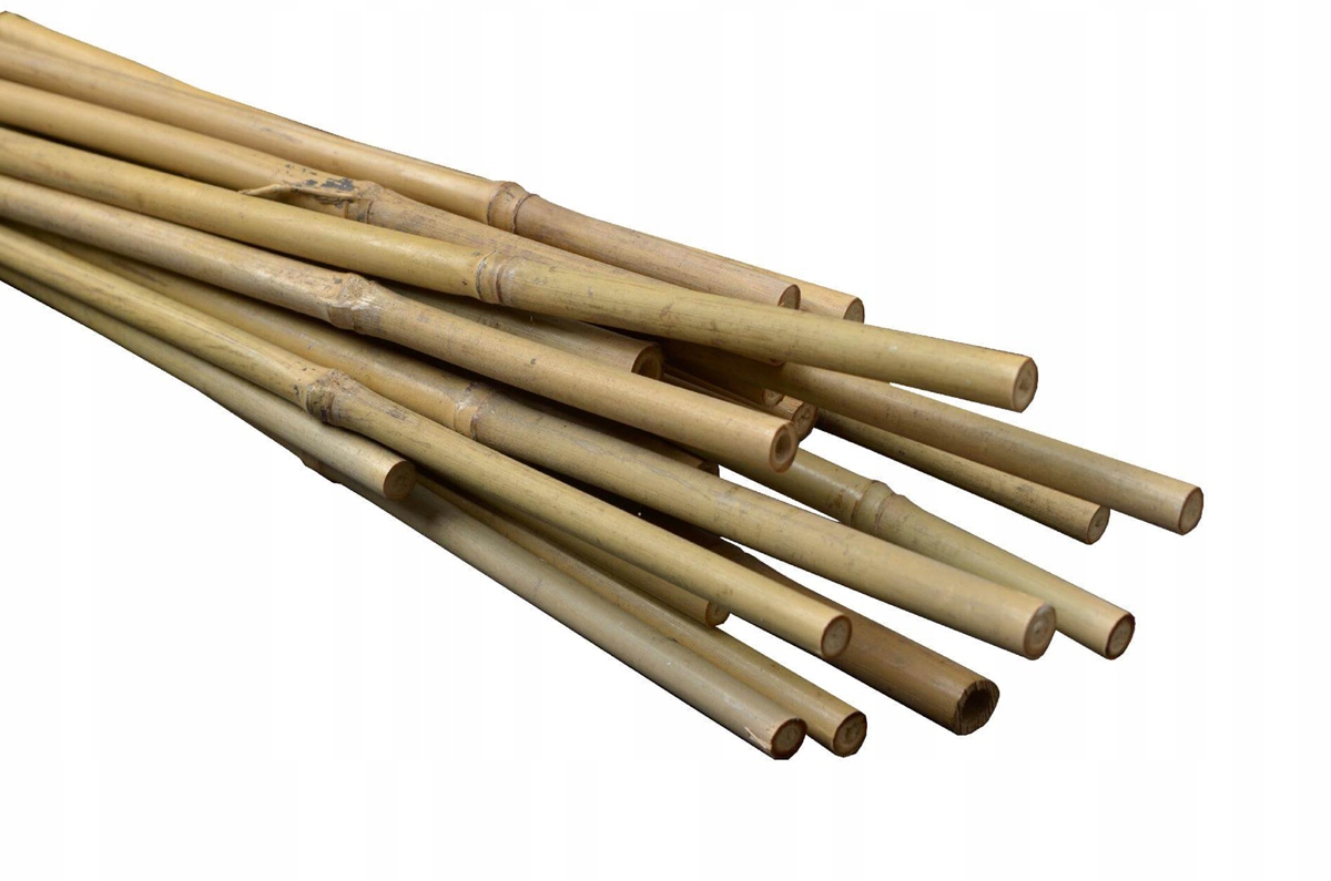 

Tyczki bambusowe podpory do roślin 75cm -10szt.