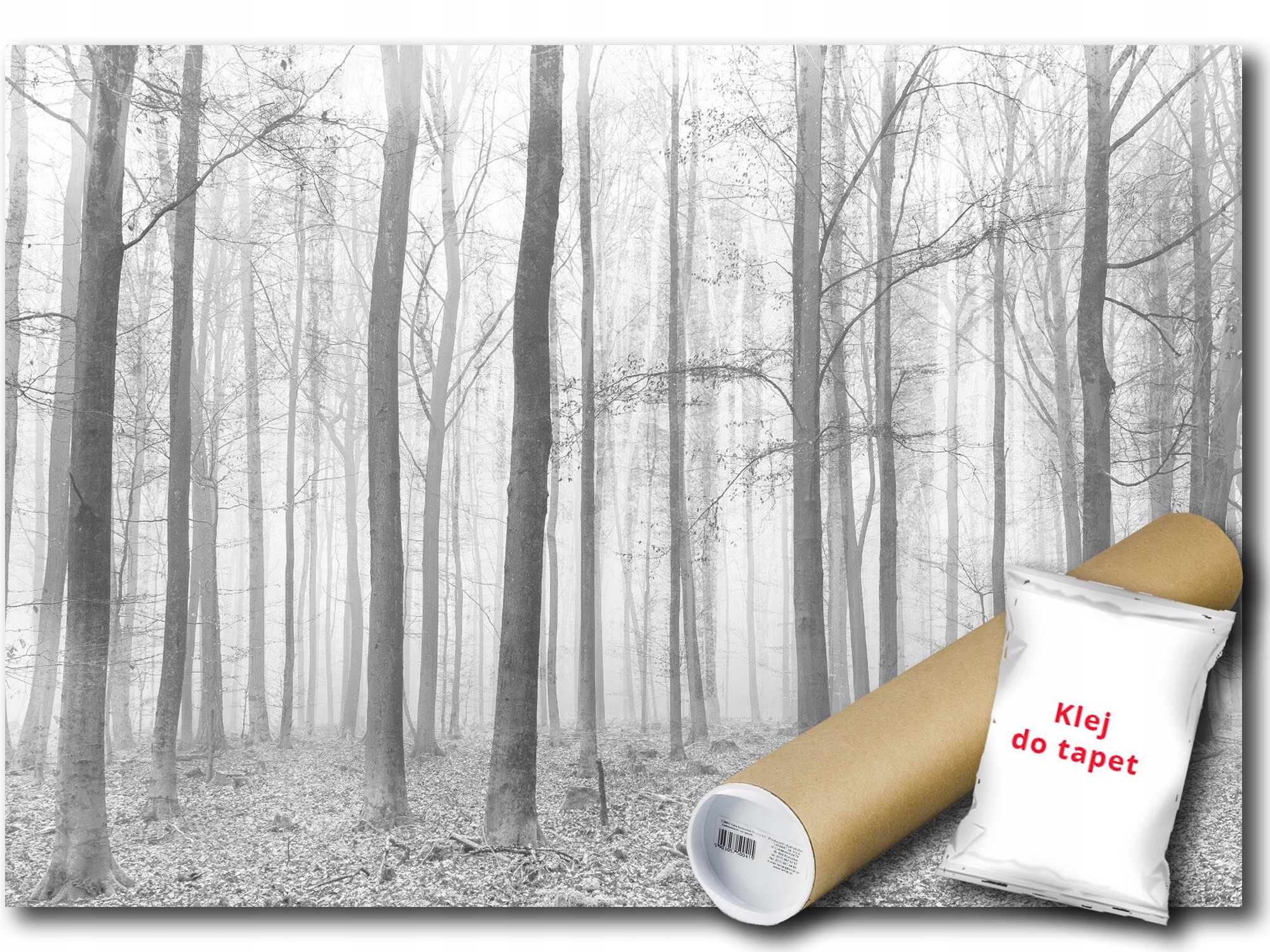 Vinylová Fototapeta Les Podzim Šedá 208x146