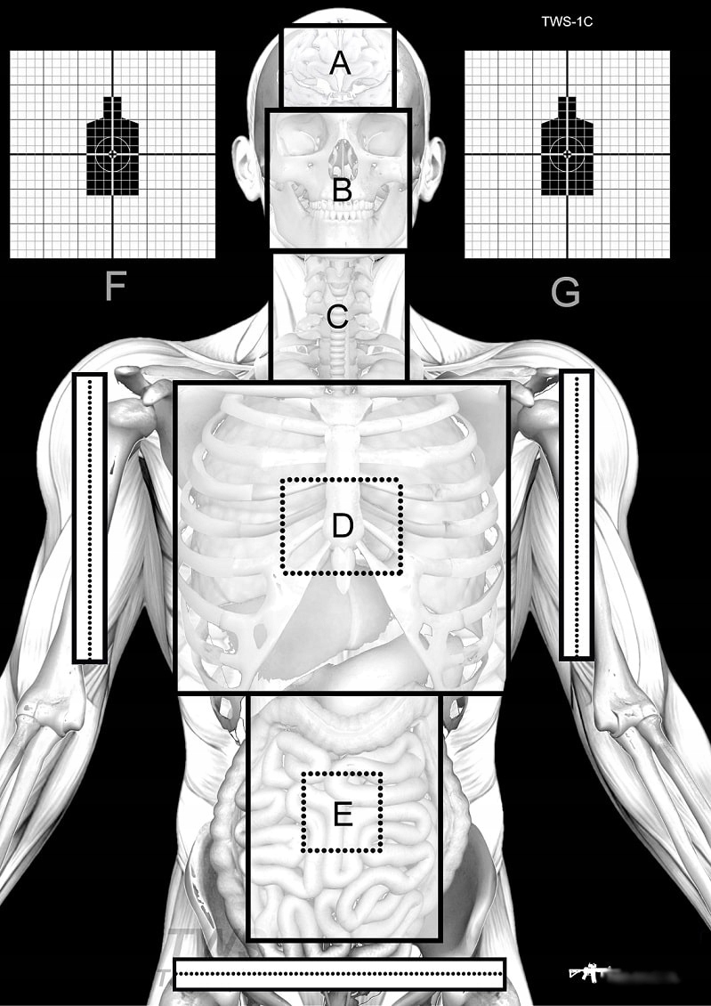 50x Tarcze strzeleckie sylwetkowe, anatomiczne TWS-1C, skeleton/ Szkielet