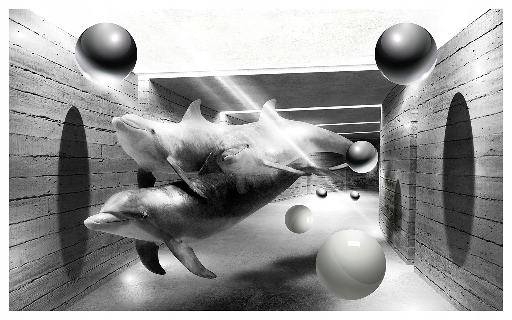 Fototapeta Delfíni v šedém tunelu monochromatická vinylová 368x254 lepidlo