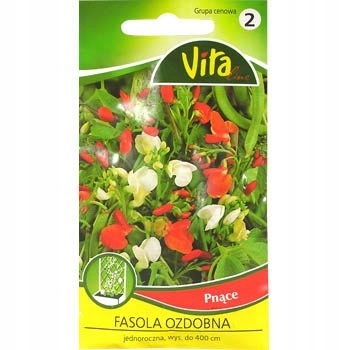 VITA NASIONA FASOLA OZDOBNA