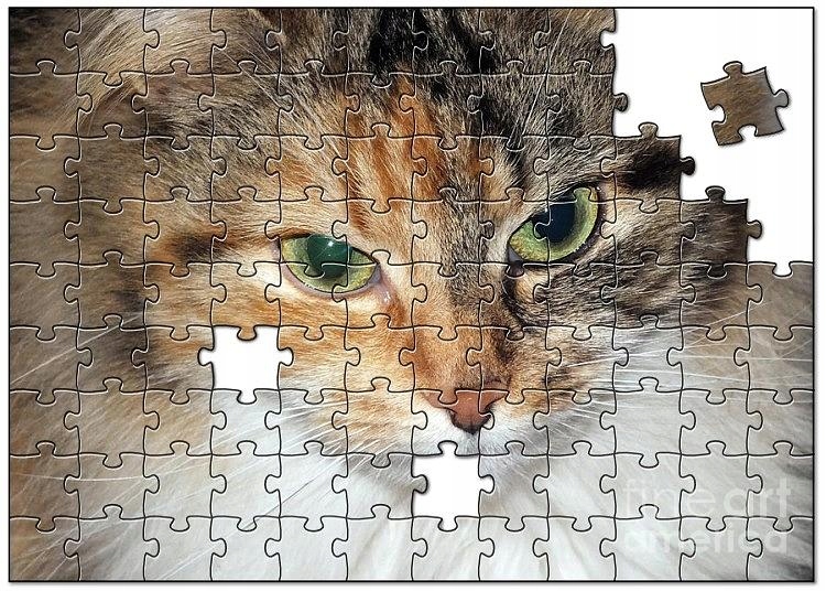 

Fotopuzzle , puzzle z dowolnym zdjęciem grafiką
